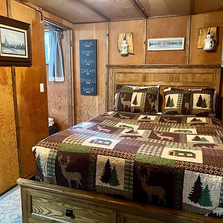 Mt Rainier Little Green Cabin On Big Creek! Ashford Luaran gambar
