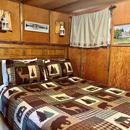Mt Rainier Little Green Cabin On Big Creek! Ashford Luaran gambar