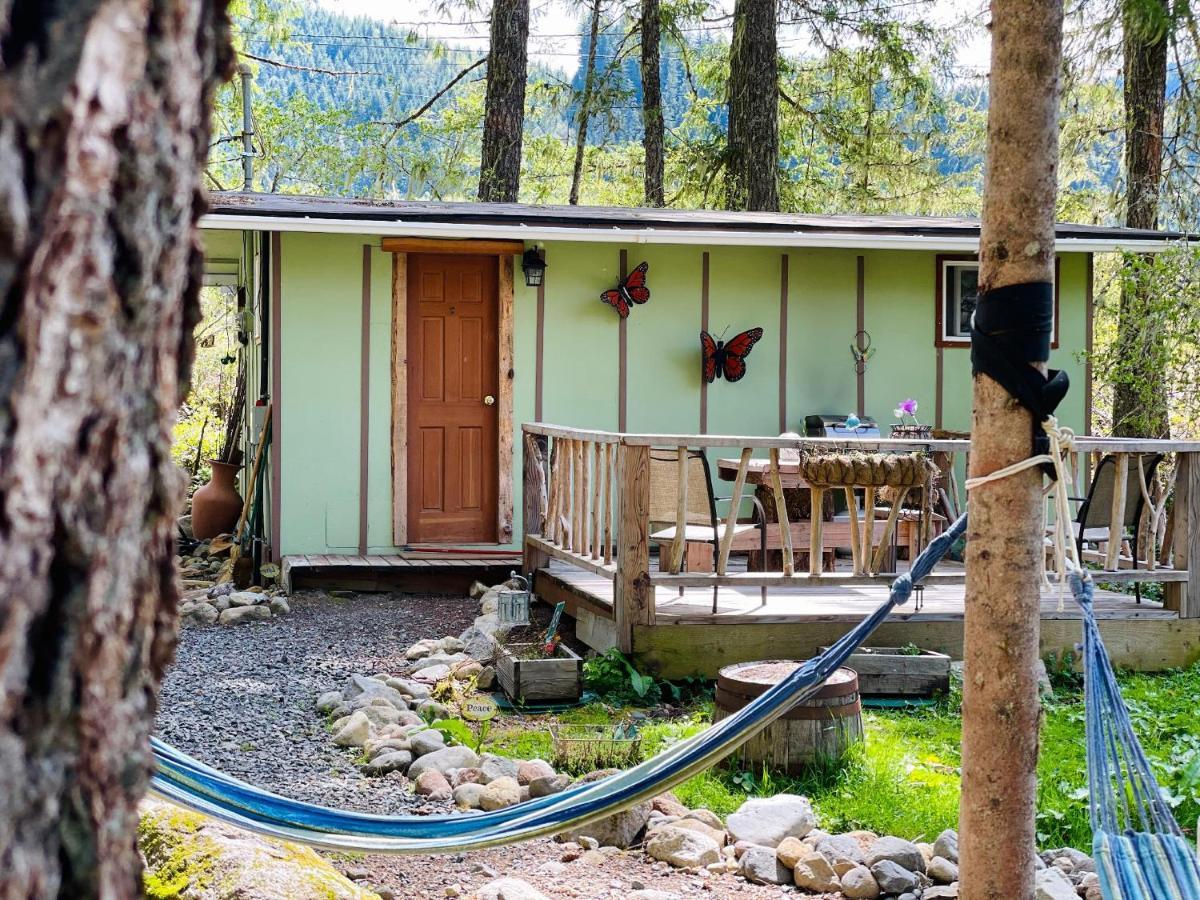 Mt Rainier Little Green Cabin On Big Creek! Ashford Luaran gambar
