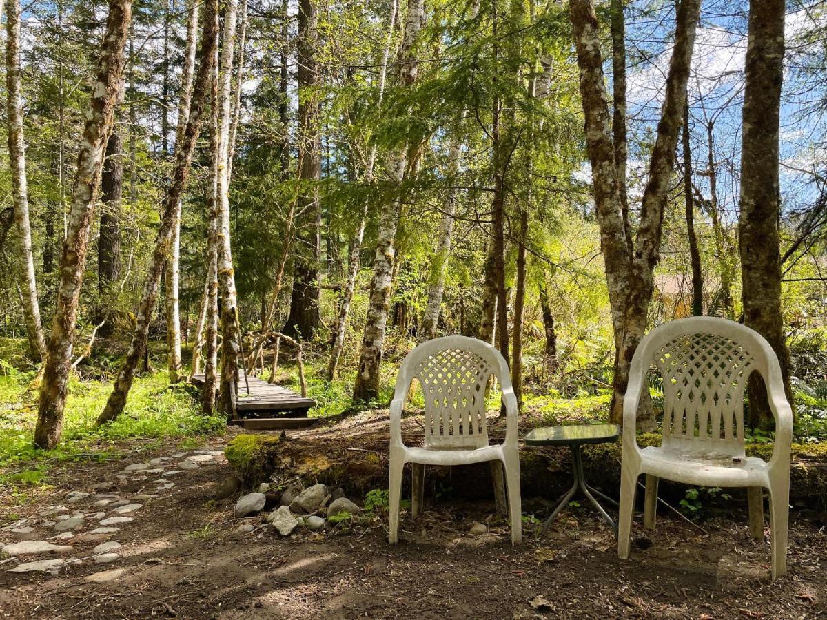 Mt Rainier Little Green Cabin On Big Creek! Ashford Luaran gambar