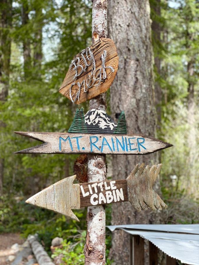 Mt Rainier Little Green Cabin On Big Creek! Ashford Luaran gambar