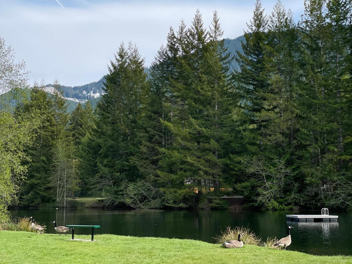 Mt Rainier Little Green Cabin On Big Creek! Ashford Luaran gambar