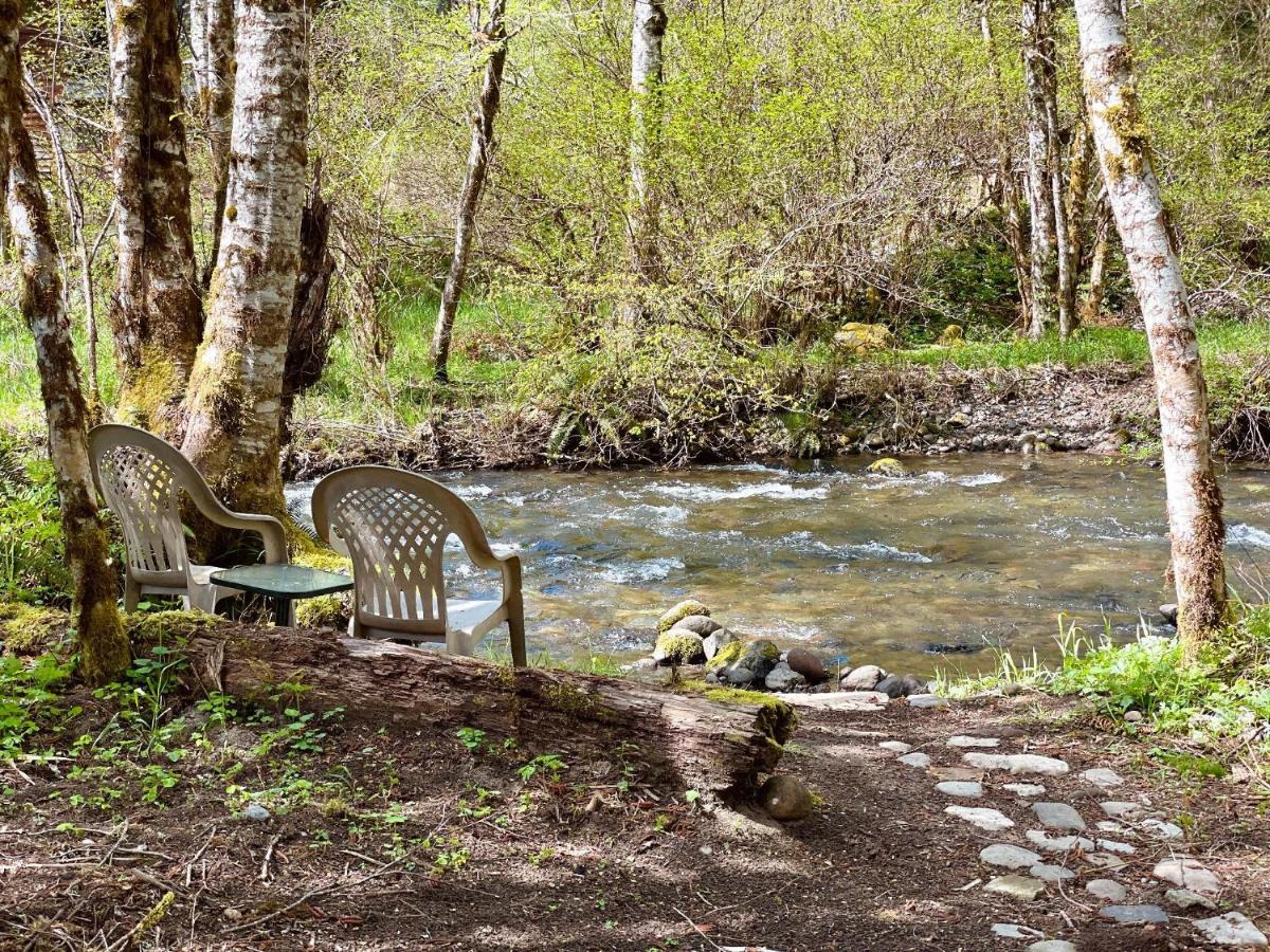 Mt Rainier Little Green Cabin On Big Creek! Ashford Luaran gambar