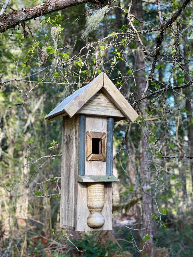 Mt Rainier Little Green Cabin On Big Creek! Ashford Luaran gambar