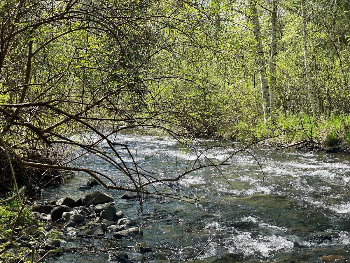 Mt Rainier Little Green Cabin On Big Creek! Ashford Luaran gambar