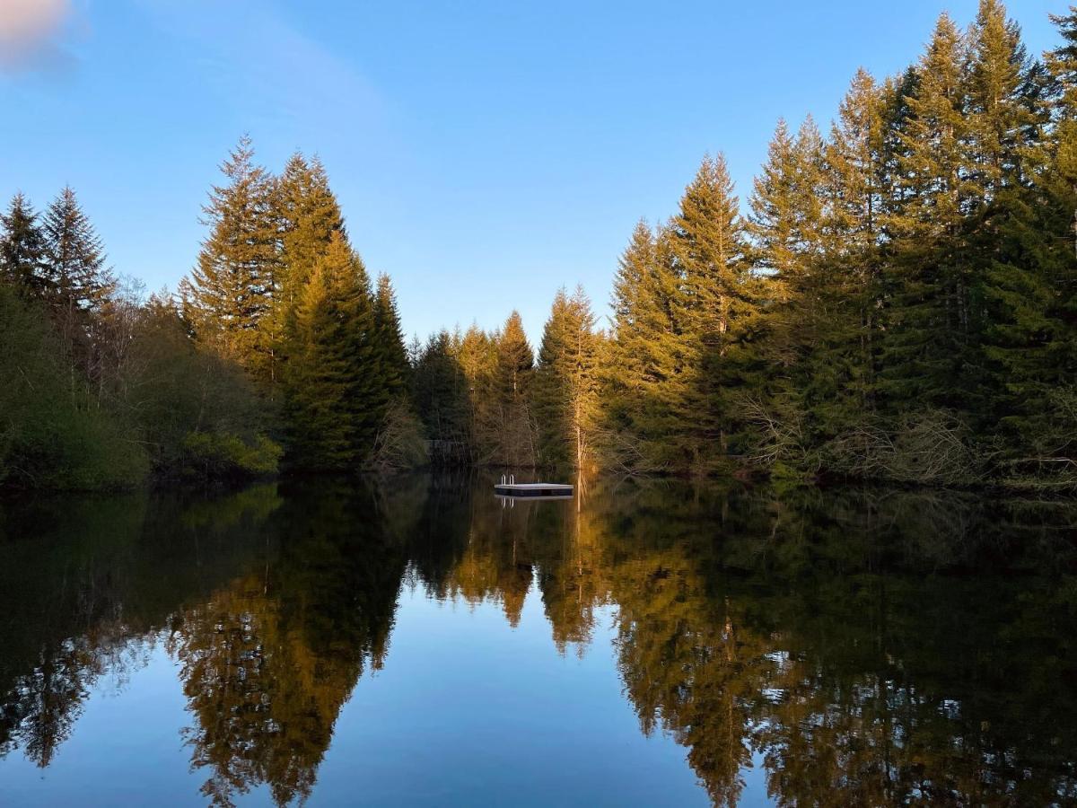 Mt Rainier Little Green Cabin On Big Creek! Ashford Luaran gambar
