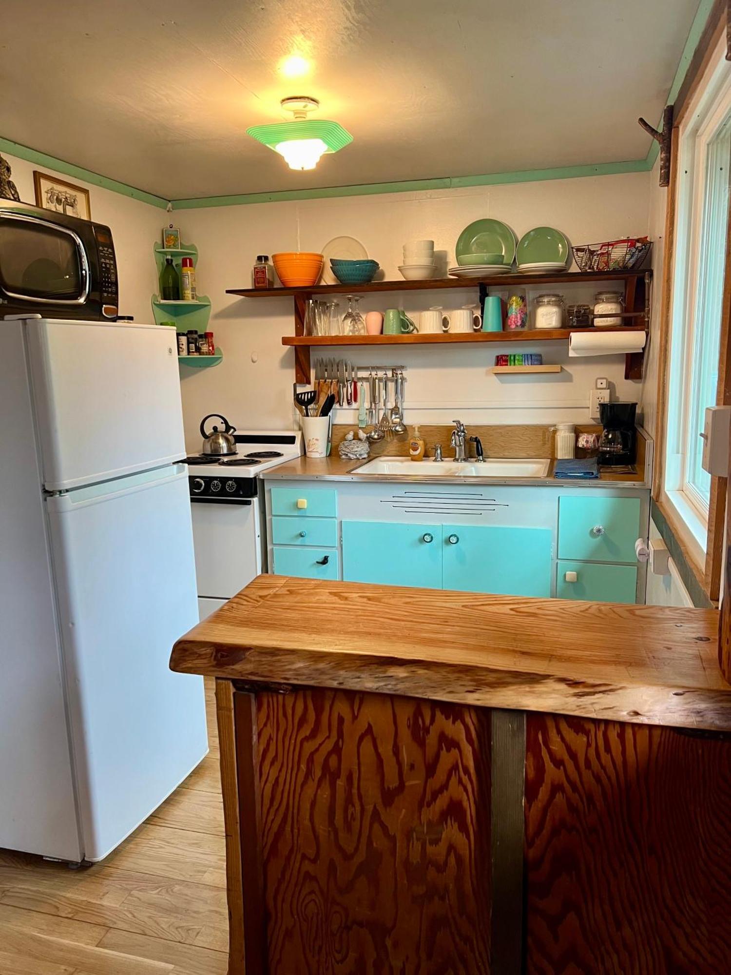 Mt Rainier Little Green Cabin On Big Creek! Ashford Luaran gambar